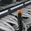 Welly Enjoy It - Cavo di Rete Patch Cat.6 U/UTP Ethernet Gigabit LAN RJ45, Lunghezza 2.0 m, PVC, CU, AWG 26/7, Nero Welly Enjoy It - Cavo di Rete Patch Cat.6 U/UTP Ethernet Gigabit LAN RJ45, Lunghezza 2.0 m, PVC, CU, AWG 26/7, Nero